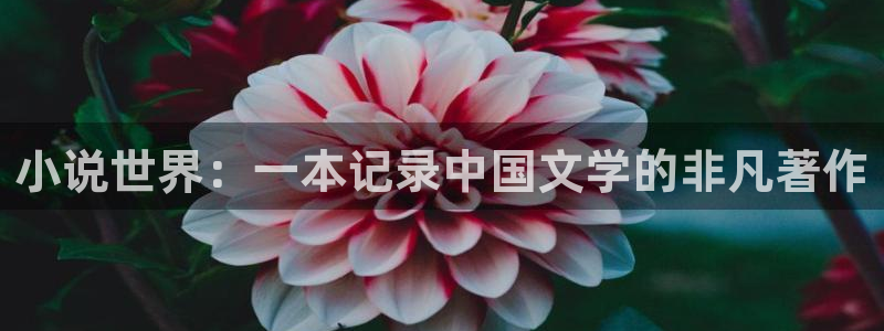 镇魂小说完整：小说世界：一本记录中国文学的非凡著作