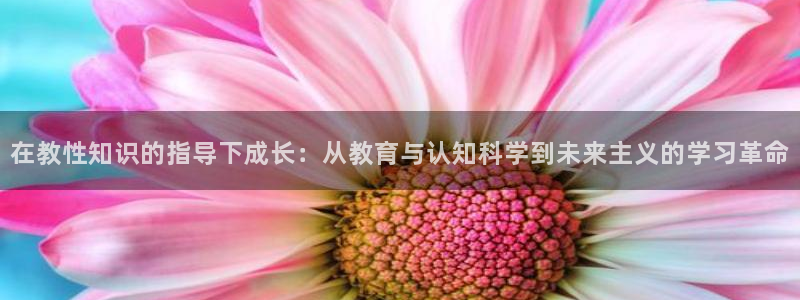 镇魂小说网zhenhun.net：在教性知识的指导下成长：从教育与认知科学到未来主义的学习革命
